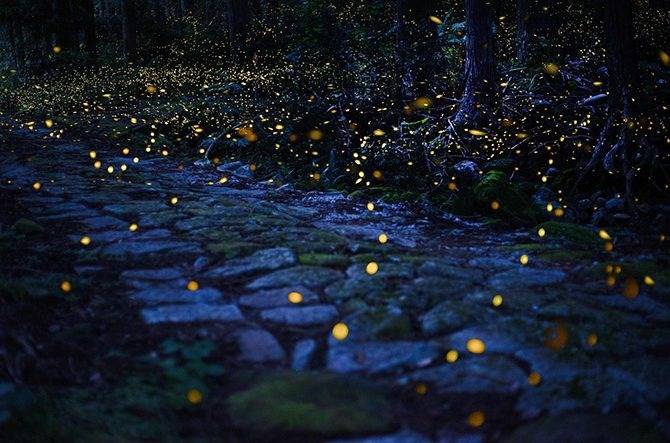 都々逸（どどいつ）とは？　三味線で紡ぐ26文字の恋文【三味線教室きずな】