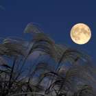 中国の秋の大型連休、中秋節＆国慶節ってなぁに？　他の祝日も見てみよう！